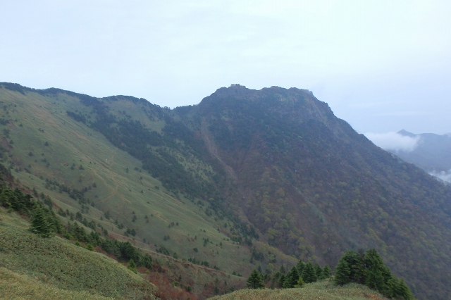 P5090776.jpg
