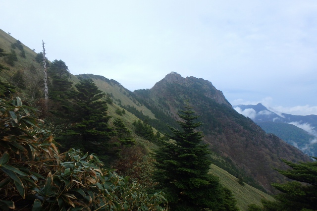 P5090783.jpg