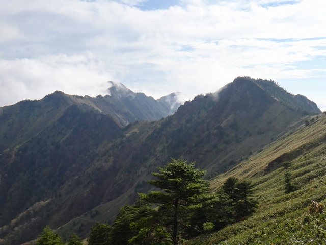 DSC02550.jpg