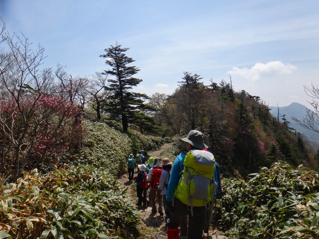 DSC02585.jpg