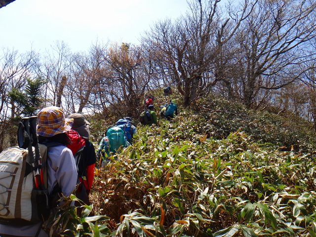 DSC02591.jpg