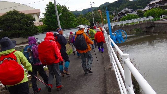 DSC08296.jpg