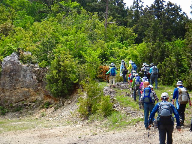DSC02634.jpg