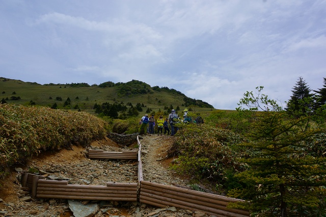DSC05884.jpg