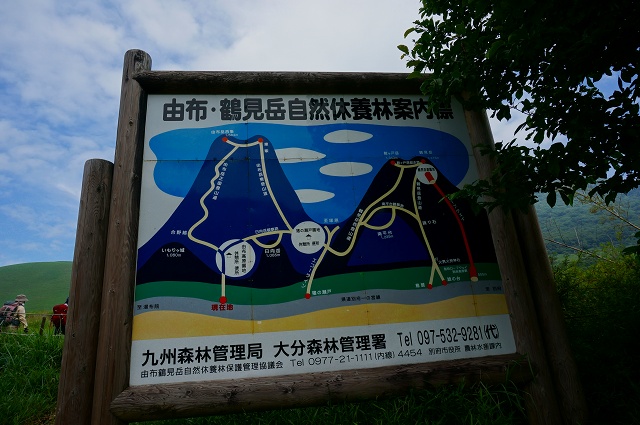 DSC06002.jpg