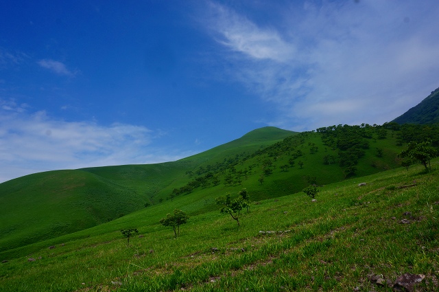 DSC06008.jpg