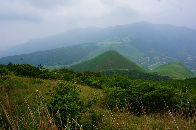 DSC06022.jpg