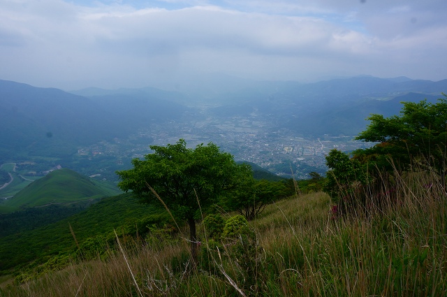 DSC06030.jpg