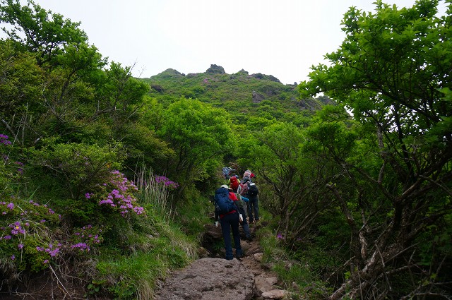 DSC06041.jpg