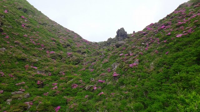 DSC08978.jpg