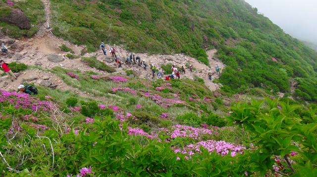 DSC08982.jpg