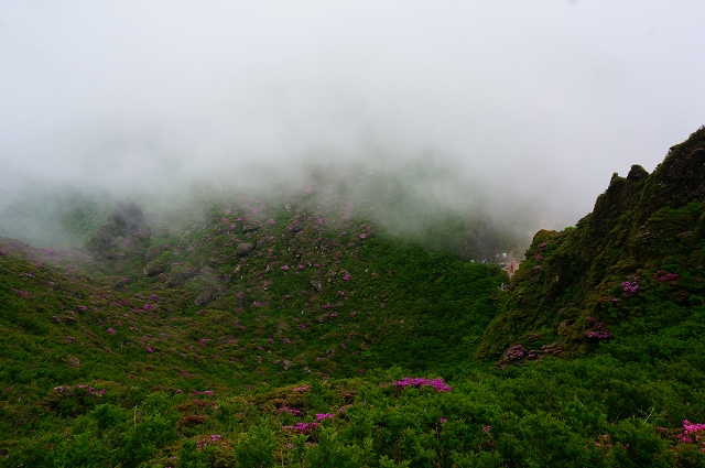 DSC06046.jpg