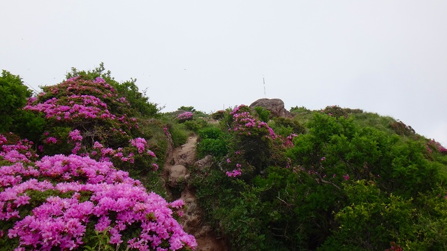 DSC08990.jpg