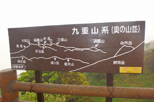 P6031348.jpg
