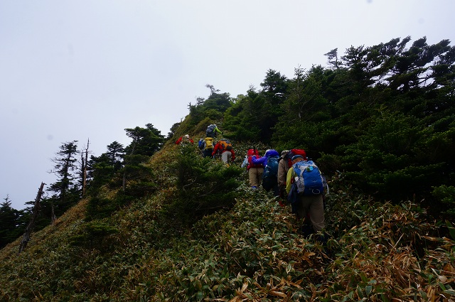 DSC06155.jpg