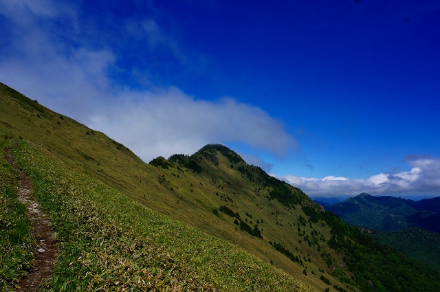 DSC06203.jpg