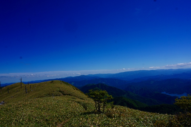 DSC06224.jpg