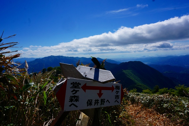 DSC06230.jpg