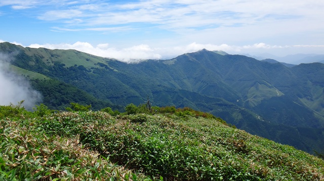 DSC09888.jpg
