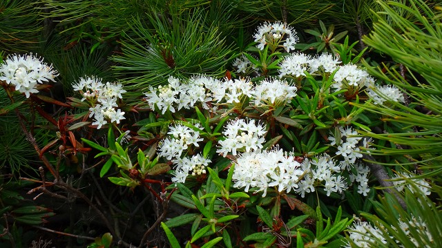 DSC00285.jpg