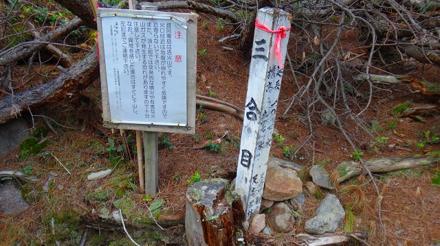 DSC00288.jpg