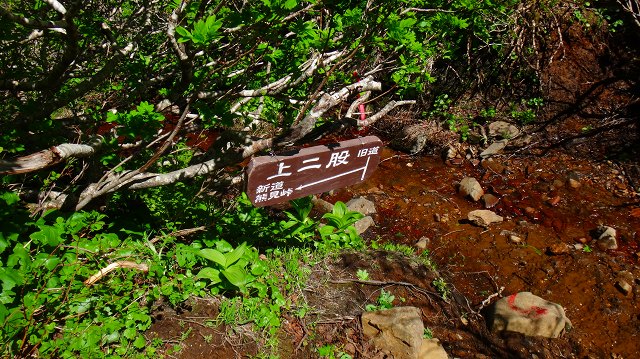 DSC00495.jpg