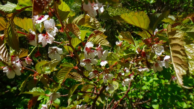 DSC00581.jpg