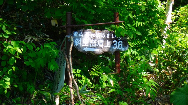 DSC00605.jpg