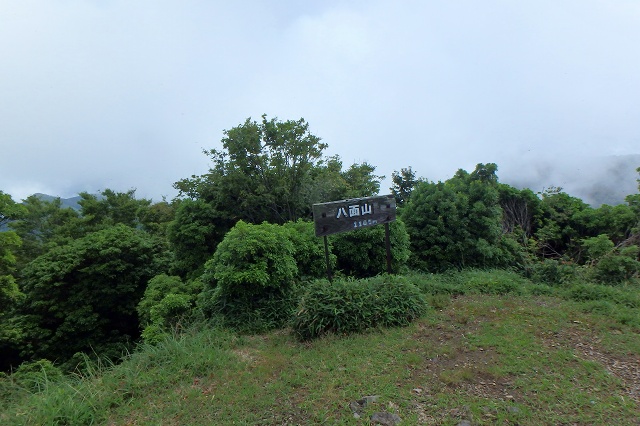 P7140856.jpg