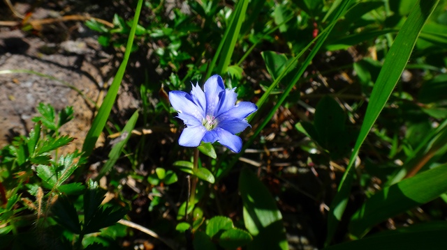 DSC01577.jpg