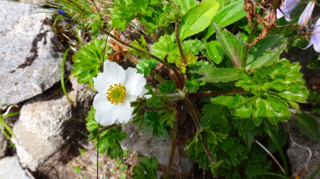 DSC01644.jpg