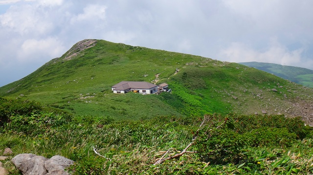DSC01696.jpg