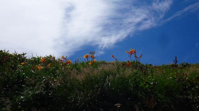 DSC01700.jpg