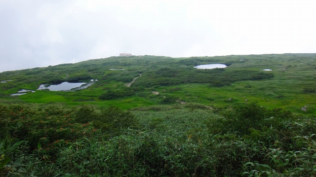 DSC01717.jpg