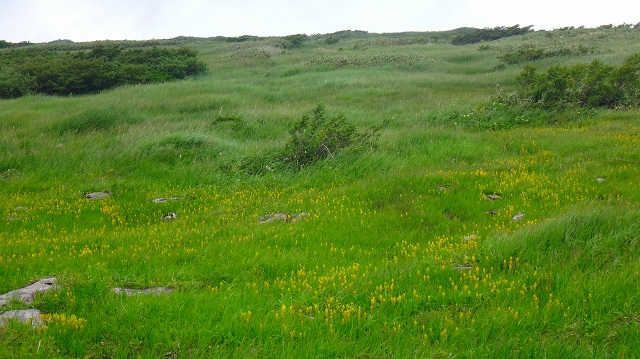 DSC01721.jpg