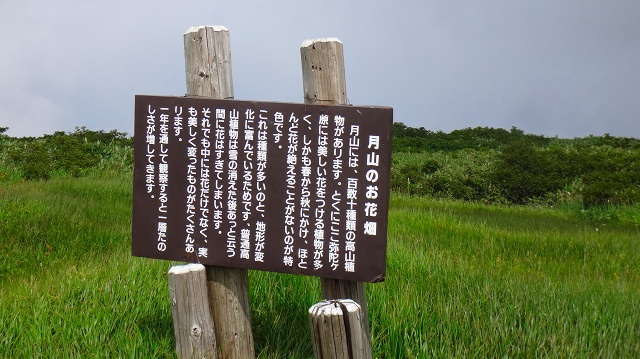 DSC01730.jpg