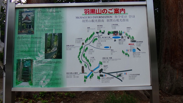 DSC01737.jpg
