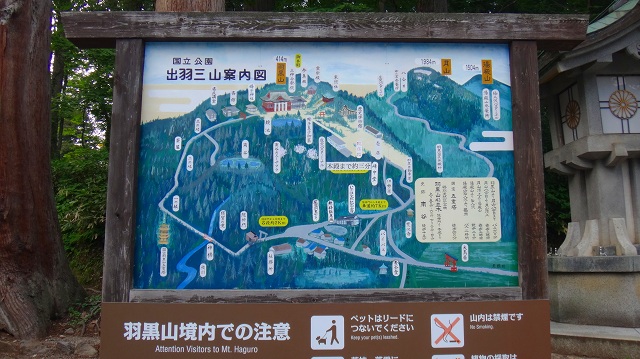 DSC01738.jpg