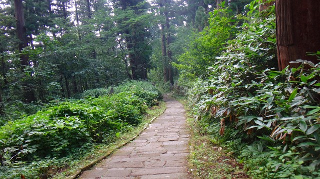 DSC01755.jpg
