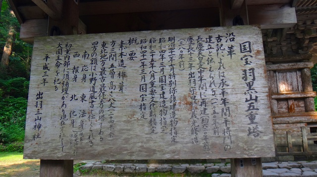 DSC01769.jpg