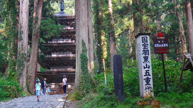 DSC01772.jpg