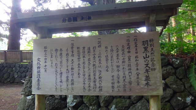 DSC01777.jpg