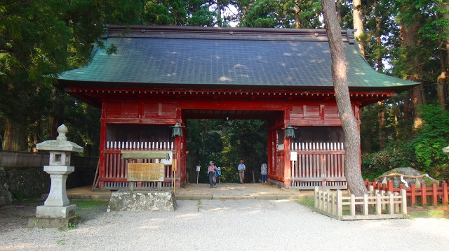 DSC01779.jpg