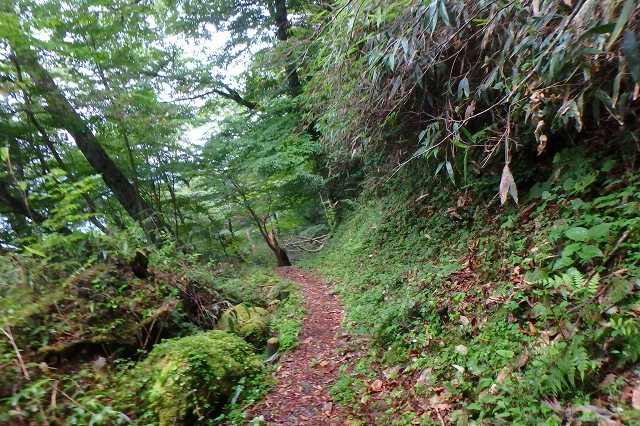 P8120324.jpg