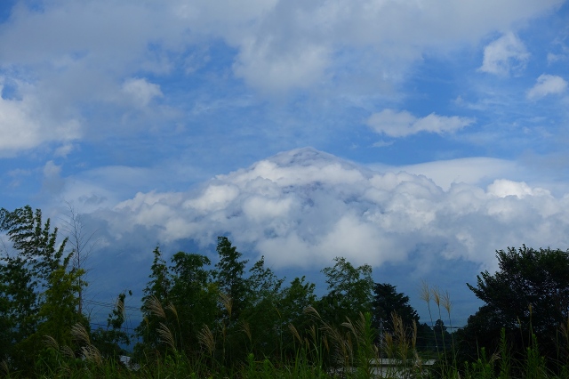 DSC00366.jpg