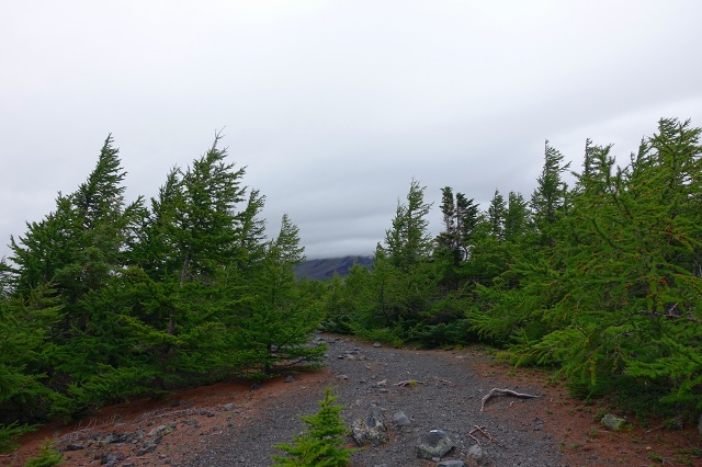 DSC00543.jpg