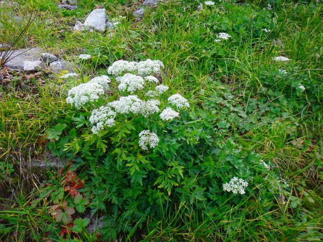 DSC03440.jpg