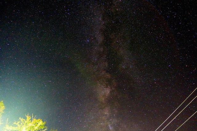 DSC01550-1.jpg