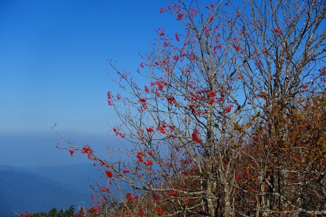 DSC02090.jpg