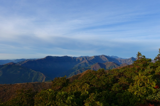 DSC02487.jpg